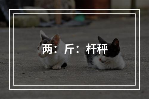 两：斤：杆秤