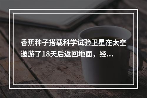 香蕉种子搭载科学试验卫星在太空遨游了18天后返回地面，经过