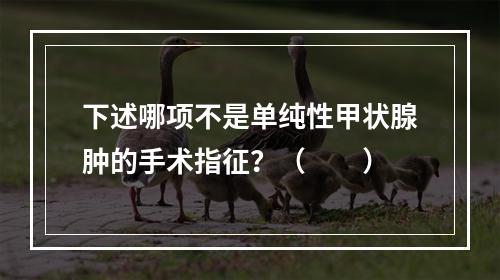 下述哪项不是单纯性甲状腺肿的手术指征？（　　）