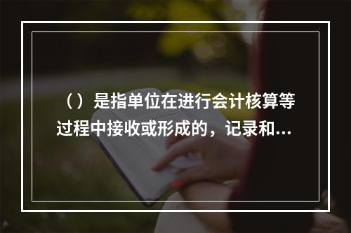 （ ）是指单位在进行会计核算等过程中接收或形成的，记录和反映