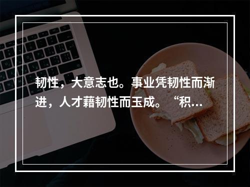 韧性，大意志也。事业凭韧性而渐进，人才藉韧性而玉成。“积土