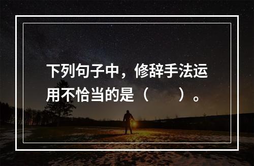 下列句子中，修辞手法运用不恰当的是（　　）。