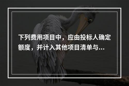 下列费用项目中，应由投标人确定额度，并计入其他项目清单与计价