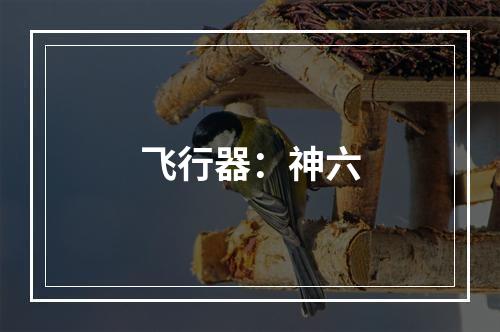 飞行器：神六