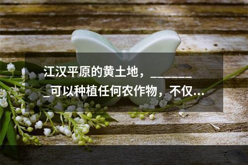 江汉平原的黄土地，_______可以种植任何农作物，不仅出