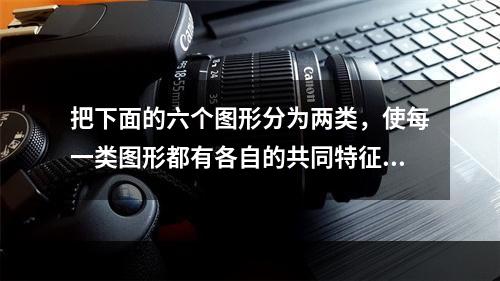 把下面的六个图形分为两类，使每一类图形都有各自的共同特征或