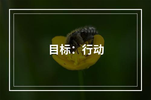 目标：行动