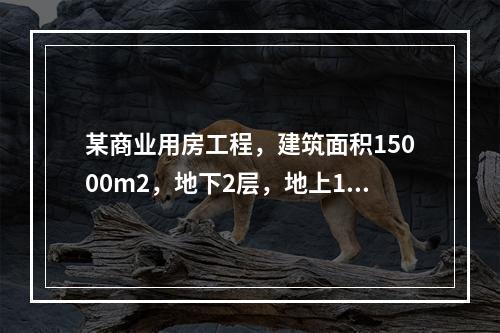 某商业用房工程，建筑面积15000m2，地下2层，地上10层