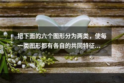 把下面的六个图形分为两类，使每一类图形都有各自的共同特征或