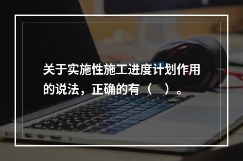 关于实施性施工进度计划作用的说法，正确的有（　）。