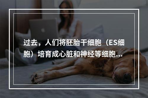 过去，人们将胚胎干细胞（ES细胞）培育成心脏和神经等细胞后