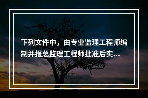 下列文件中，由专业监理工程师编制并报总监理工程师批准后实施