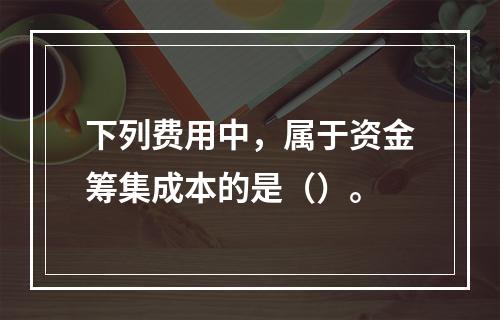 下列费用中，属于资金筹集成本的是（）。