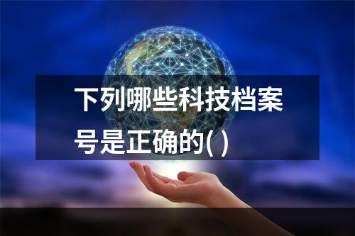 下列哪些科技档案号是正确的( )