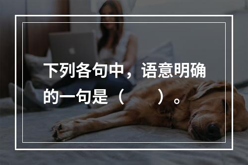 下列各句中，语意明确的一句是（　　）。