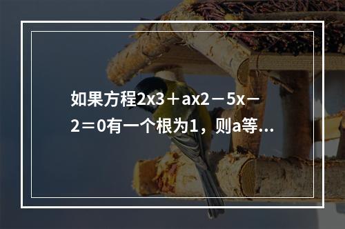 如果方程2x3＋ax2－5x－2＝0有一个根为1，则a等于