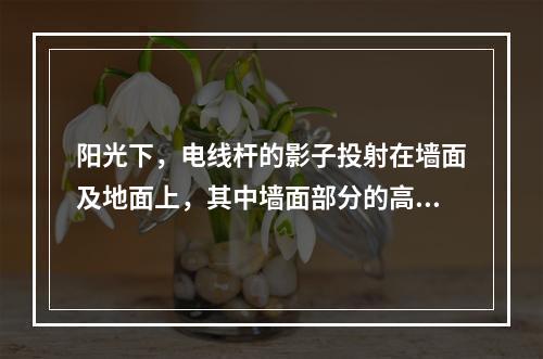 阳光下，电线杆的影子投射在墙面及地面上，其中墙面部分的高度