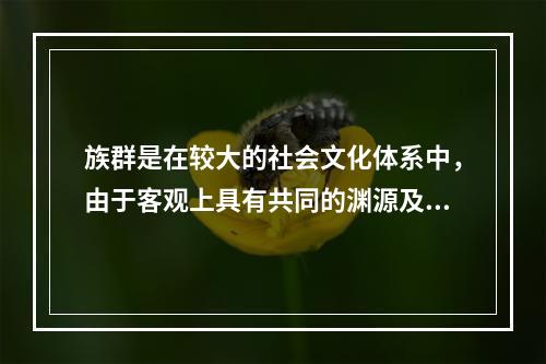 族群是在较大的社会文化体系中，由于客观上具有共同的渊源及由