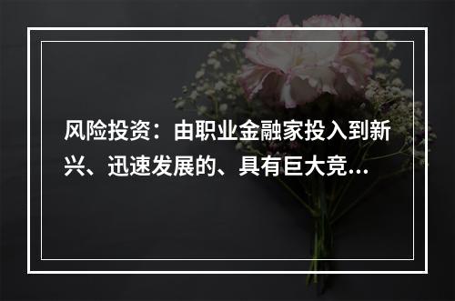 风险投资：由职业金融家投入到新兴、迅速发展的、具有巨大竞争