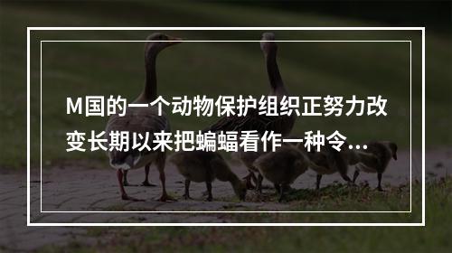 M国的一个动物保护组织正努力改变长期以来把蝙蝠看作一种令人