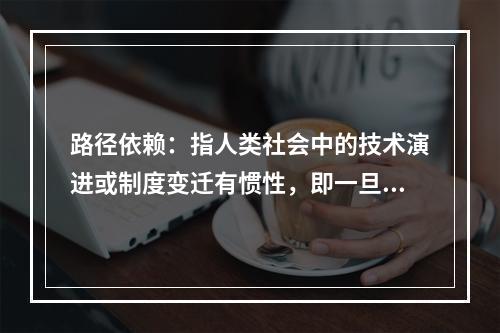 路径依赖：指人类社会中的技术演进或制度变迁有惯性，即一旦进