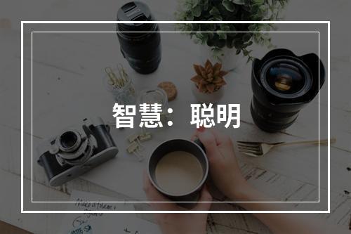 智慧：聪明