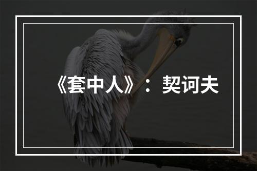 《套中人》：契诃夫