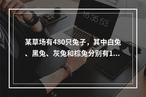 某草场有480只兔子，其中白兔、黑兔、灰兔和棕兔分别有16