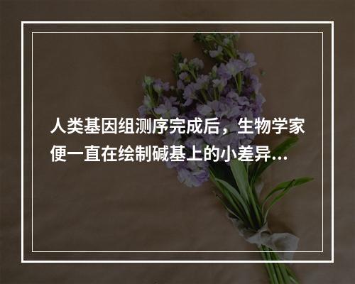 人类基因组测序完成后，生物学家便一直在绘制碱基上的小差异，