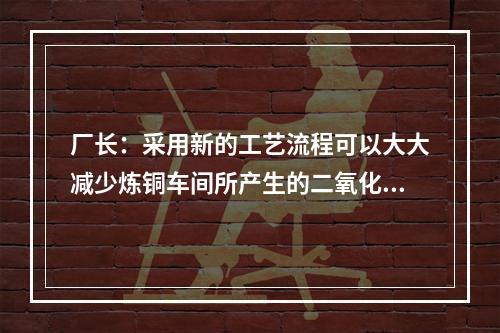 厂长：采用新的工艺流程可以大大减少炼铜车间所产生的二氧化硫