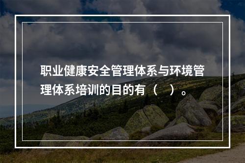 职业健康安全管理体系与环境管理体系培训的目的有（　）。