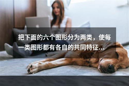 把下面的六个图形分为两类，使每一类图形都有各自的共同特征或