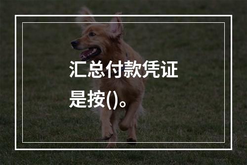 汇总付款凭证是按()。