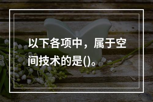 以下各项中，属于空间技术的是()。