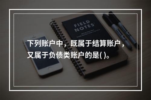 下列账户中，既属于结算账户，又属于负债类账户的是( )。