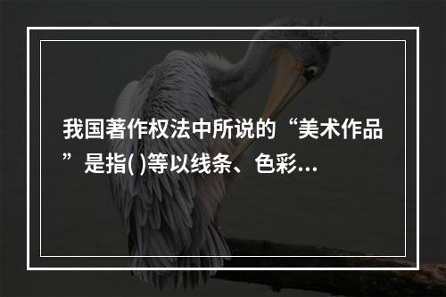 我国著作权法中所说的“美术作品”是指( )等以线条、色彩或其