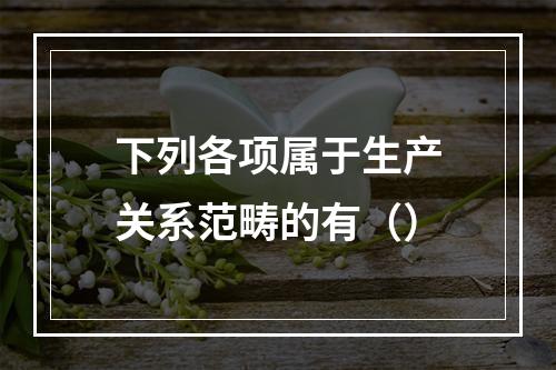 下列各项属于生产关系范畴的有（）