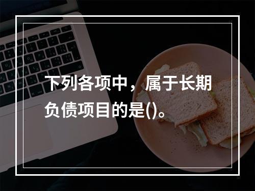 下列各项中，属于长期负债项目的是()。