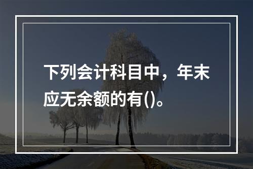 下列会计科目中，年末应无余额的有()。