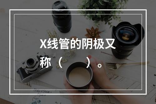 X线管的阴极又称（　　）。