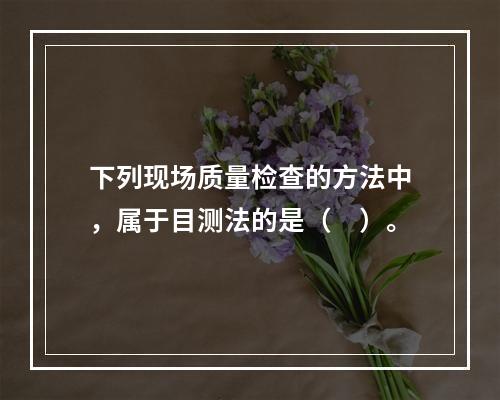 下列现场质量检查的方法中，属于目测法的是（　）。