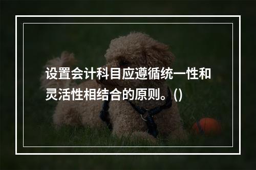 设置会计科目应遵循统一性和灵活性相结合的原则。()