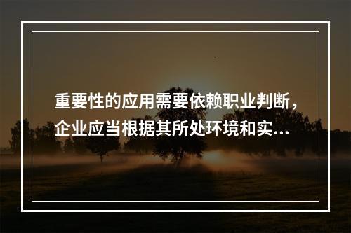 重要性的应用需要依赖职业判断，企业应当根据其所处环境和实际情