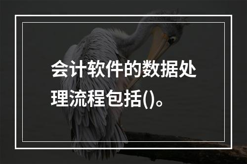 会计软件的数据处理流程包括()。