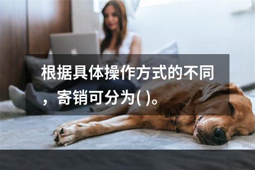 根据具体操作方式的不同，寄销可分为( )。