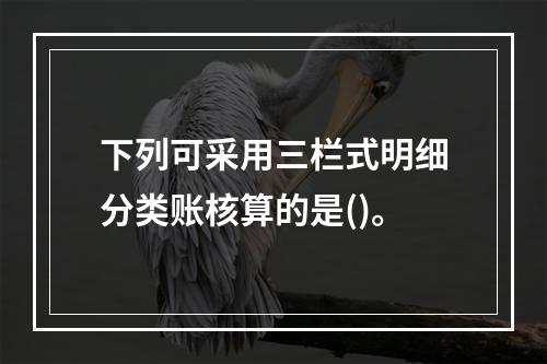 下列可采用三栏式明细分类账核算的是()。