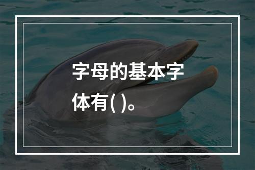 字母的基本字体有( )。