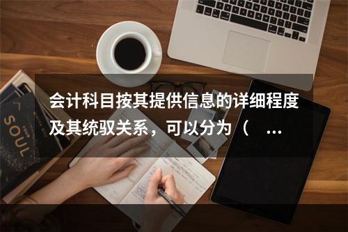 会计科目按其提供信息的详细程度及其统驭关系，可以分为（　　）