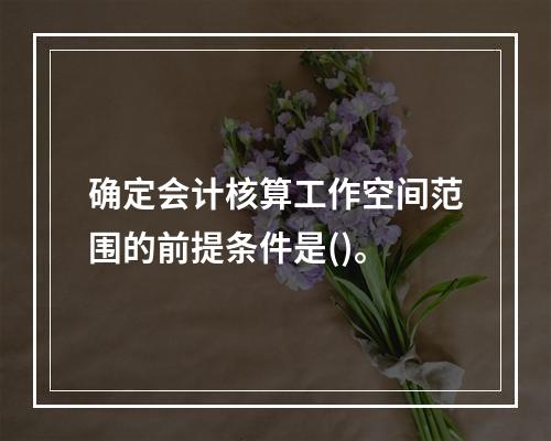 确定会计核算工作空间范围的前提条件是()。