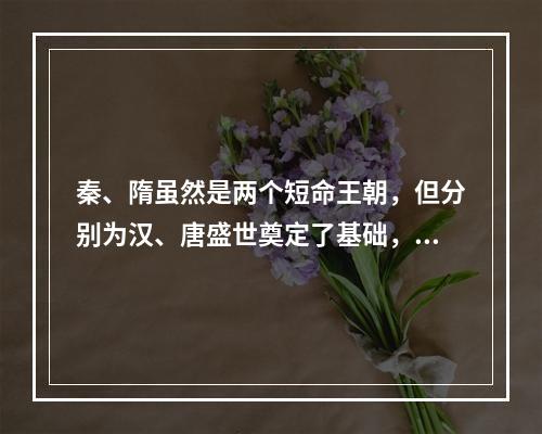 秦、隋虽然是两个短命王朝，但分别为汉、唐盛世奠定了基础，它们